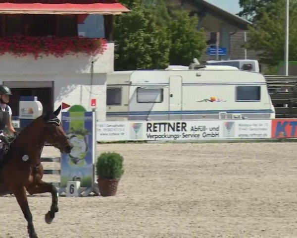 Reitturnier Grafenrheinfeld/Ufr. 2020