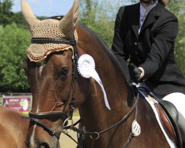 dressage horse Raissa 98 (Hanoverian, 1997, from Rabino 12)