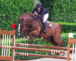 jumper Timberland (KWPN (Royal Dutch Sporthorse), 2000, from Heartbreaker)