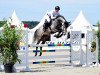 jumper Carnan (Oldenburg show jumper, 2010, from Cartogran)