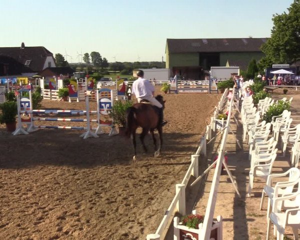 Reitturnier Behrendorf 2020