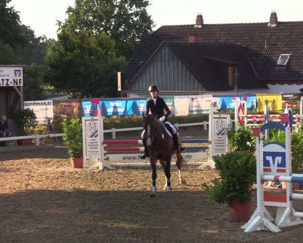 Reitturnier Behrendorf 2020
