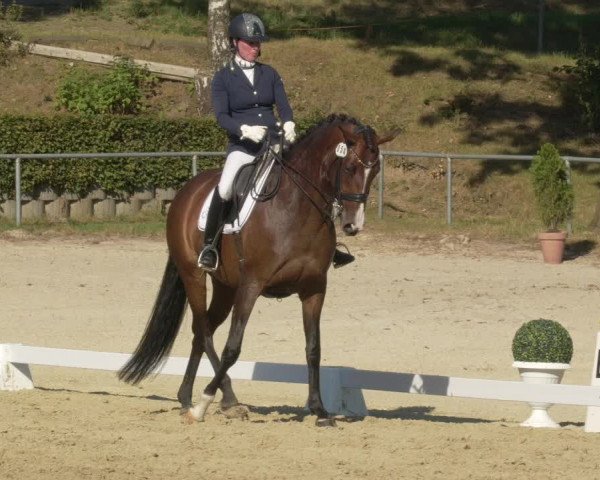 Reitturnier Kierspe-Hohenholten 2020