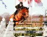 jumper Diego Costa (KWPN (Royal Dutch Sporthorse), 2004, from Indoctro)