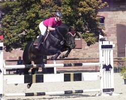 broodmare Firework 3 (Oldenburg, 2004, from Shamane)