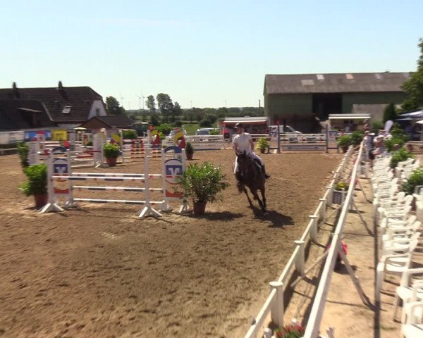 Reitturnier Behrendorf 2020