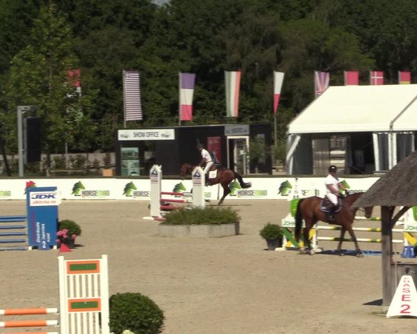 Gold +Cyclus Jonge Paarden in Lier (BEL) 2020