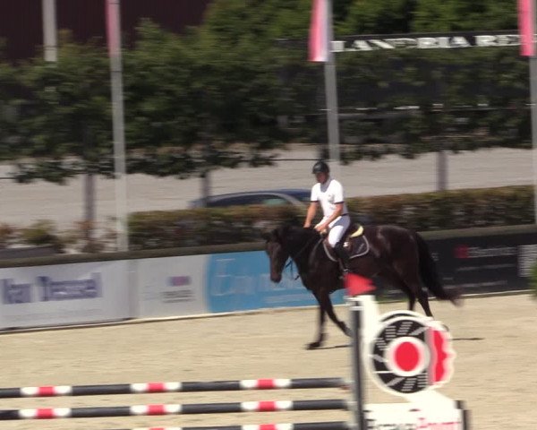 Gold +Cyclus Jonge Paarden in Lier (BEL) 2020