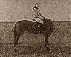 horse Princess Joy (Hanoverian, 1996, from Legat)