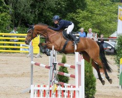 jumper Ozana (Romanian Warmblood, 2002, from Tam-Tam)