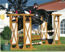 jumper Duncan 86 (German Riding Pony, 2007, from Three-Stars Dumbledore)