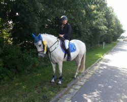 jumper Sarah 471 (German Riding Pony, 1994)