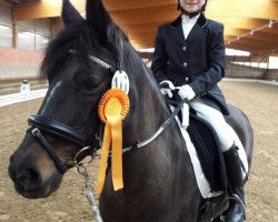 dressage horse Nina 129 (German Riding Pony, 1993, from Nion)