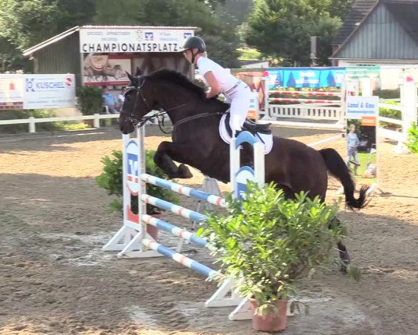 Reitturnier Behrendorf 2020