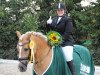 dressage horse Akyra (Haflinger, 2002, from Alpenstern)