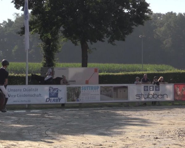 Reitturnier Münster-Handorf 2020