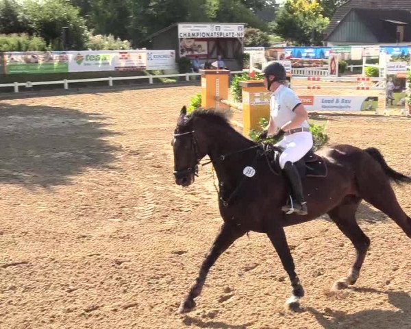 Reitturnier Behrendorf 2020