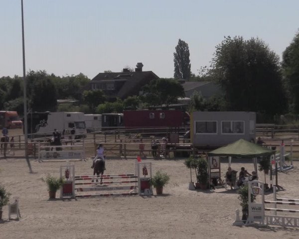 Reitturnier Münster-Amelsbüren 2020