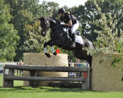 eventing horse Romanze G (Oldenburg, 2008, from Royal Diamond)