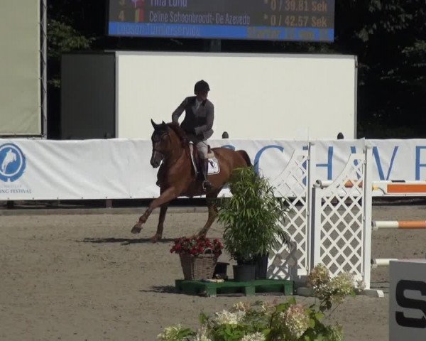 FEI Reitturnier Eschweiler (GER) 2020