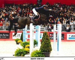 Springpferd Sherry Mury Marais Z Z (Zangersheide Reitpferd, 1995, von Salido)