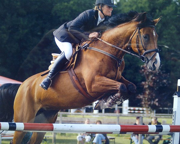 broodmare Chinchia (Hanoverian, 1997, from Cheenook)