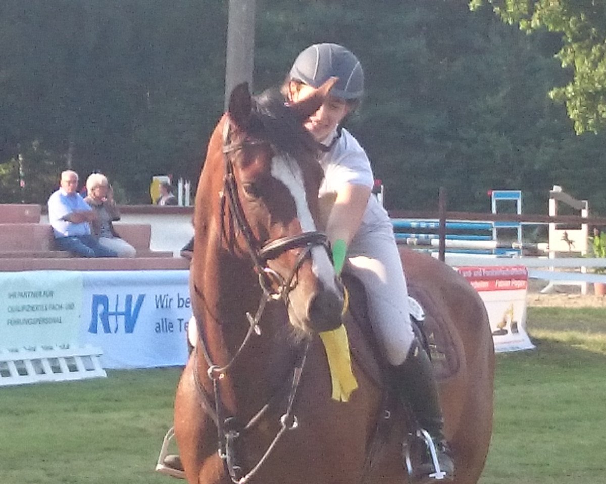 Springpferd Charlet-Kalakaua (Oldenburger Springpferd, 2009, von Colman)