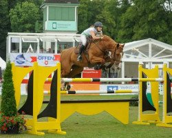 jumper Gabby Kalakaua (Oldenburg show jumper, 2008, from Balou du Rouet)