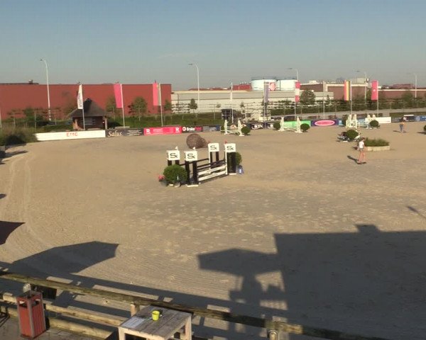 Gold +Cyclus Jonge Paarden in Lier (BEL) 2020