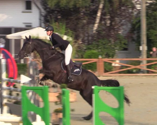 Equus Colonius - Reitanlage Brüse Köln 2021