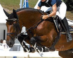 stallion Noowanda Semilly (Selle Français, 2001, from Diamant de Semilly)