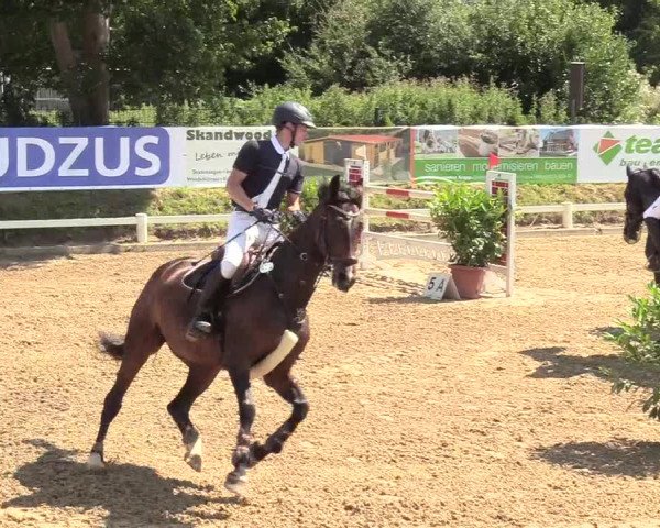 Reitturnier Behrendorf 2020