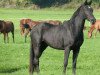 dressage horse Flettrich (Rhinelander, 2011, from Flatrate)