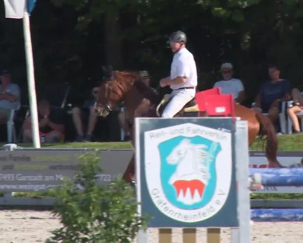 Reitturnier Grafenrheinfeld/Ufr. 2020