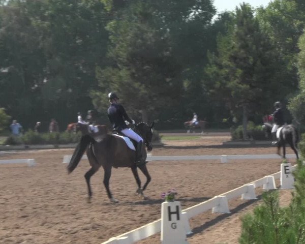 Reitturnier Dallgow 2020