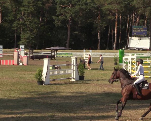 Reitturnier Wörmlitz 2020
