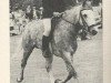 Deckhengst Offem Xanthos (New-Forest-Pony, 1966, von Prescott Julian)