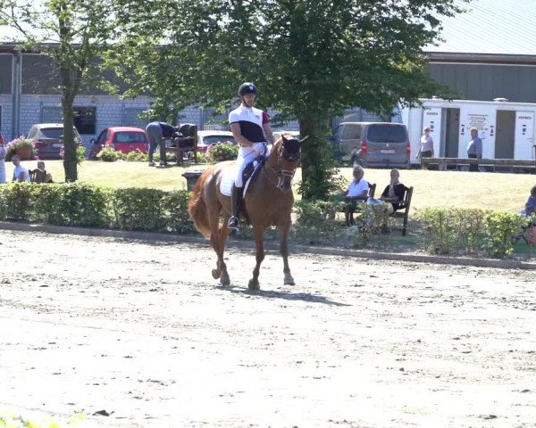 Reitturnier Olfen-Vinnum 2020