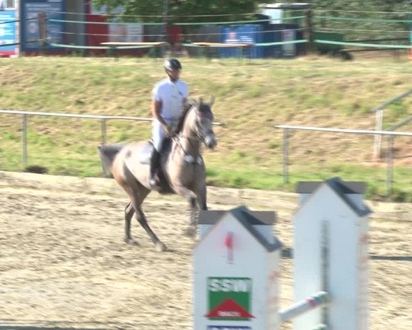 Reitturnier Kirchhoven-Vinn 2020
