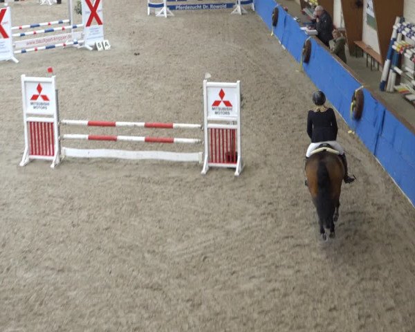 Reitturnier Sögel 2021