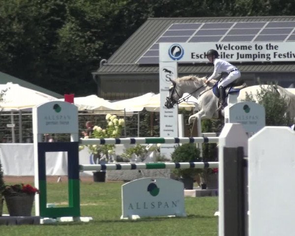 FEI Reitturnier Eschweiler (GER) 2020