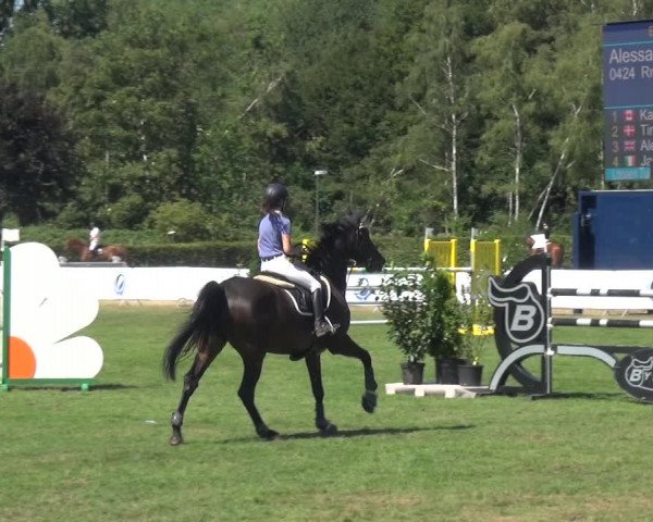 FEI Reitturnier Eschweiler (GER) 2020