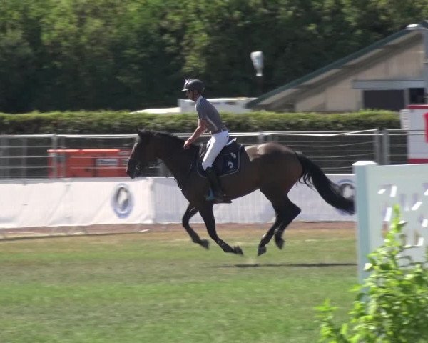 FEI Reitturnier Eschweiler (GER) 2020