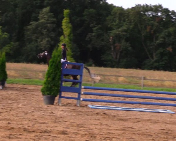 Reitturnier Altlandsberg 2020
