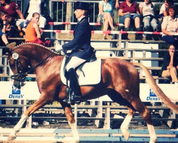 dressage horse Edelmann's Dancing Dream (German Riding Pony, 2000, from FS Don't Worry)