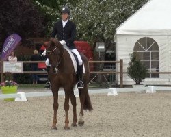 dressage horse Duvetico (Oldenburg, 2010, from Detroit)