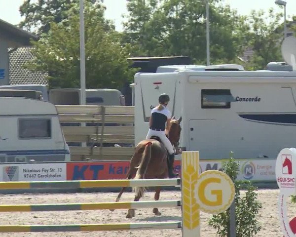Reitturnier Grafenrheinfeld/Ufr. 2020