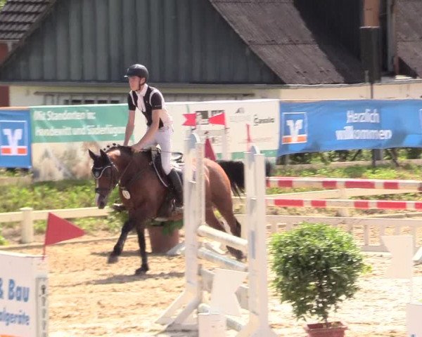 Reitturnier Behrendorf 2020