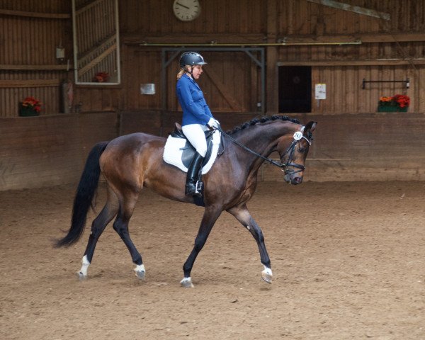 dressage horse Fiorella 115 (Oldenburg, 2010, from Fürst Romancier)