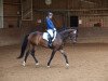 dressage horse Fiorella 115 (Oldenburg, 2010, from Fürst Romancier)